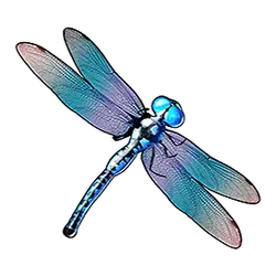 Symbol Dragonfly in Big Bass Bonanza